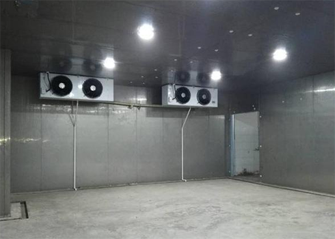 肉類(lèi)食品冷庫(kù)建造安裝 肉類(lèi)食品冷庫(kù)建造安裝