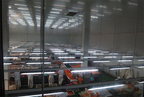 水產(chǎn)冷凍庫(kù)建造多少錢(qián) 水產(chǎn)冷凍庫(kù)建造多少錢(qián)