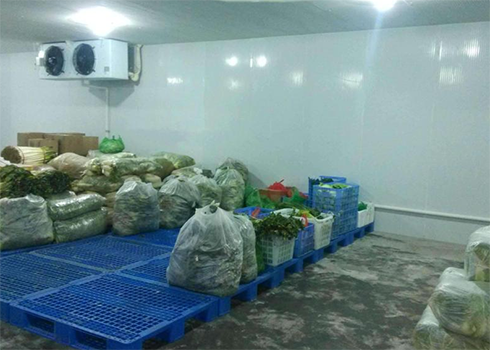 果蔬保鮮冷藏庫建造 果蔬保鮮冷藏庫建造