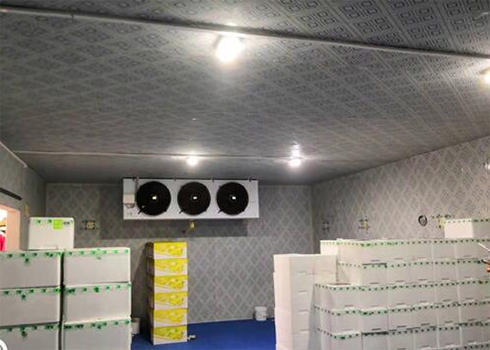 低溫倉庫安裝造價費用 低溫倉庫安裝造價費用