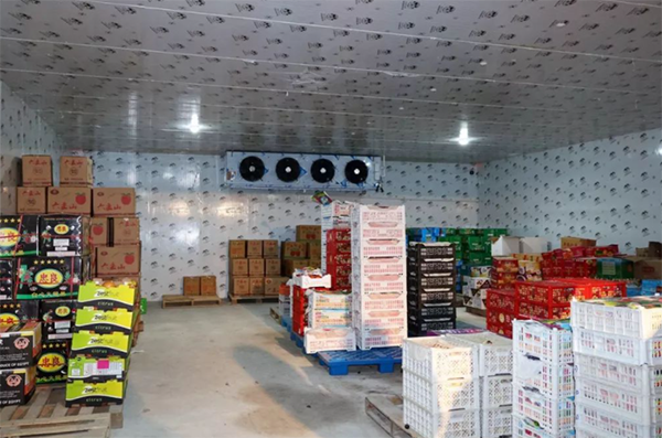 鴨梨保鮮庫建造 鴨梨保鮮庫建造