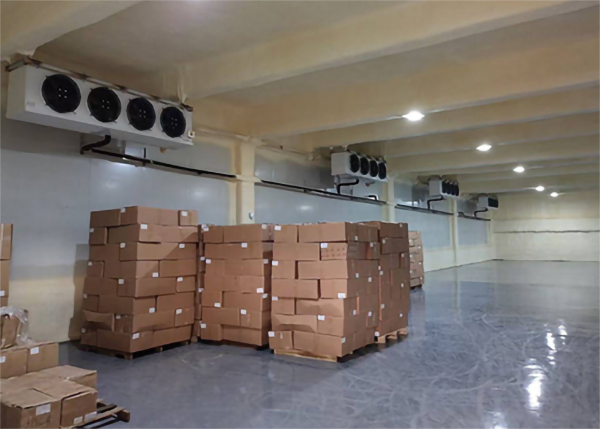 速凍冷庫(kù)安裝保養(yǎng)