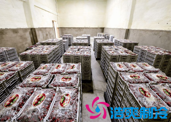 果蔬保鮮冷庫(kù)安裝造價(jià)需要多少錢？_浩爽制冷