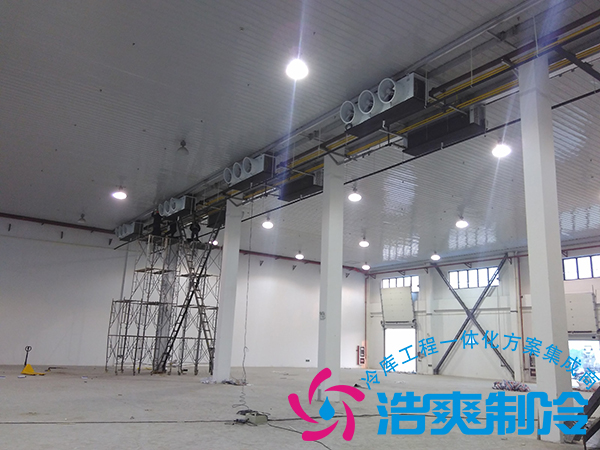 建造一個小型青果檳榔保鮮冷庫造價多少錢？可以存儲多長時間？