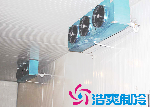 果蔬保鮮冷庫建造有哪些注意事項(xiàng)？常見蔬菜冷庫儲(chǔ)存溫濕度是多少？