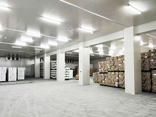 安裝一個(gè)5000m3大棗保鮮冷庫(kù)造價(jià)費(fèi)用需要多少錢？_浩爽制冷