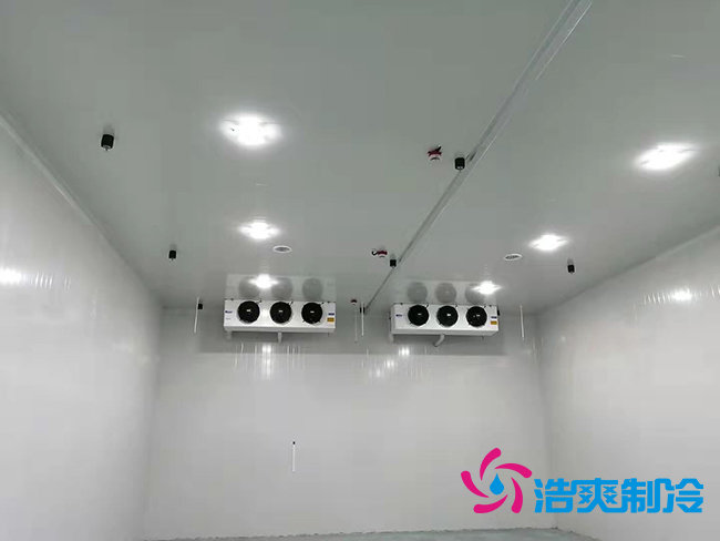 超低溫凍庫(kù)建設(shè)價(jià)格與哪些因素有關(guān)？_浩爽制冷