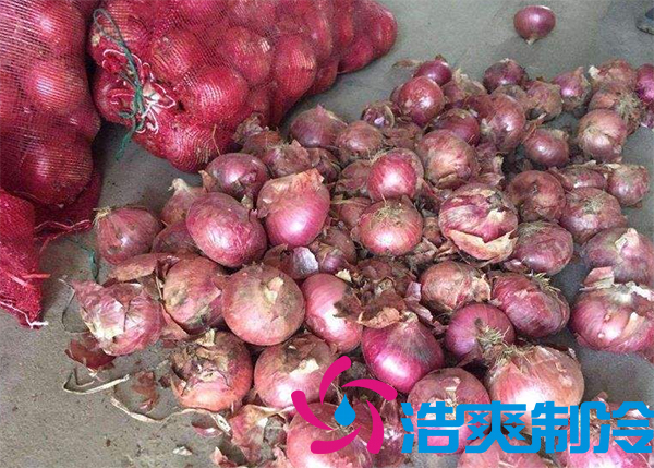 建一個(gè)洋蔥保鮮庫(kù)要多少錢呢？_浩爽制冷