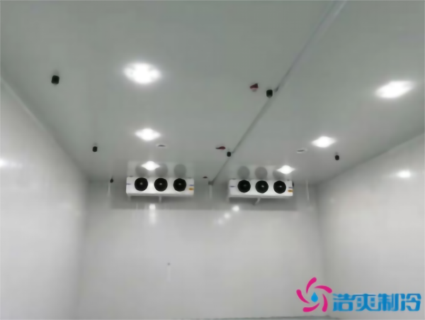 茄子氣調(diào)冷庫(kù)安裝存儲(chǔ)方法_浩爽制冷 茄子氣調(diào)冷庫(kù)安裝存儲(chǔ)方法_浩爽制冷