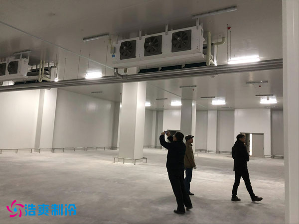 建造一間鳳梨保鮮冷庫(kù)費(fèi)用需要多少錢？_浩爽制冷