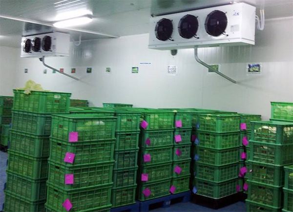 建一個(gè)垃圾冷庫(kù)要多少錢？_浩爽制冷