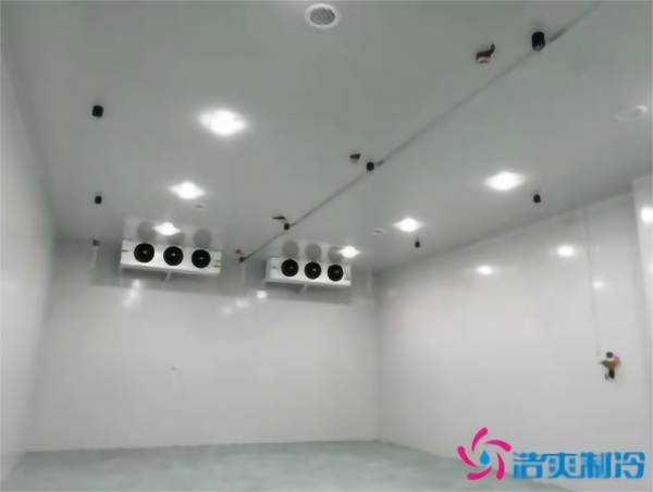 調(diào)味料冷庫溫度需求，建一個食品調(diào)味料冷庫多少錢？_浩爽制冷