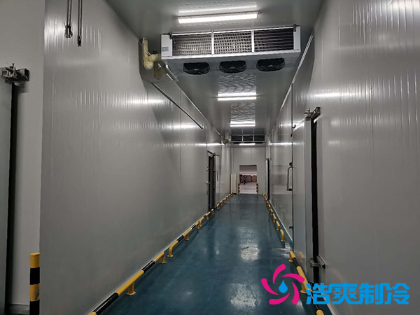 建一個(gè)1000平米蔬菜恒溫庫(kù)成本多少錢？_浩爽制冷