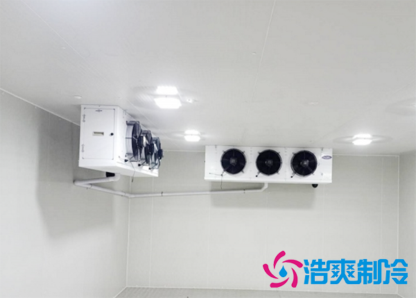 水果批發(fā)市場(chǎng)建造水果保鮮冷庫報(bào)價(jià)大概需要多少錢？-浩爽制冷