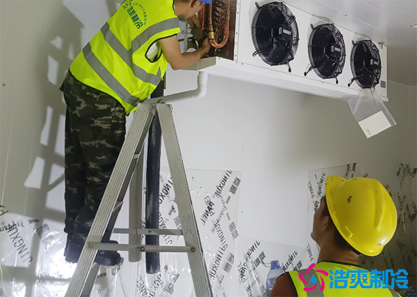 酒店冷庫工程設計方案,餐飲雙溫冷庫安裝要求標準規(guī)范-浩爽制冷 酒店冷庫工程設計方案,餐飲雙溫冷庫安裝要求標準規(guī)范-浩爽制冷