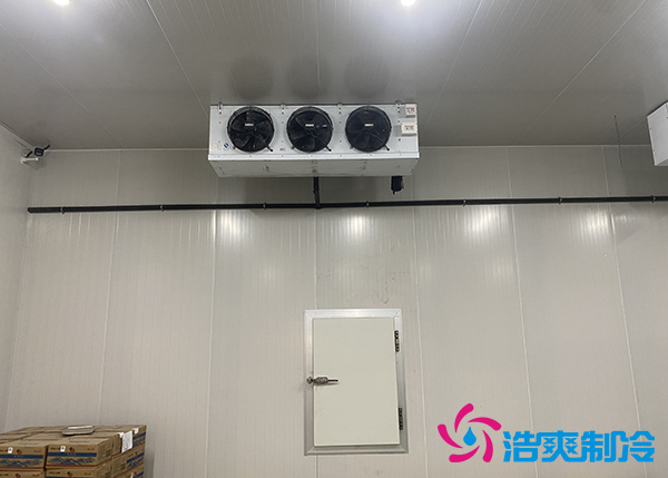 生鮮蔬菜市場冷庫應(yīng)該建多大？-浩爽制冷