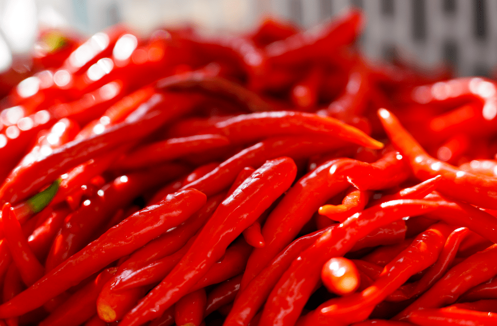 小米辣冷庫溫度標(biāo)準(zhǔn)是多少？-浩爽制冷