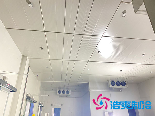 大型冷庫建設(shè)多少錢一平方？