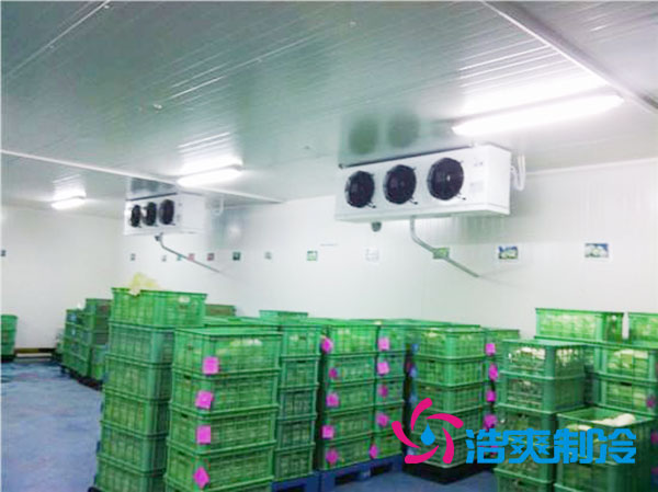 茶葉冷庫(kù)設(shè)置多少溫度合適？-浩爽制冷