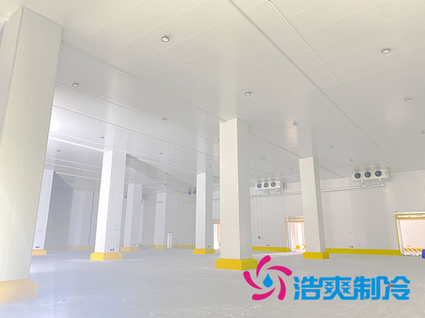 浙江肉類(lèi)速凍庫(kù)建造大概多少錢(qián)？-浩爽制冷