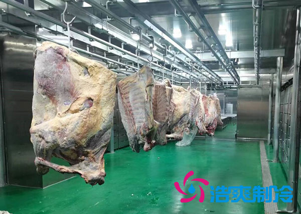咸陽(yáng)屠宰場(chǎng)陜西冷庫(kù)建造價(jià)格多少錢？-浩爽制冷
