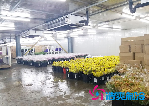 做個(gè)鮮花冷庫要多少錢？-浩爽制冷