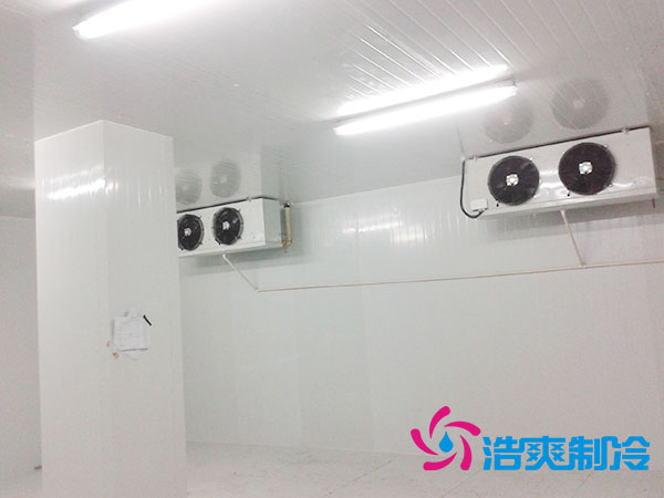 佛山雪糕冷凍庫價(jià)格多少錢？-浩爽制冷
