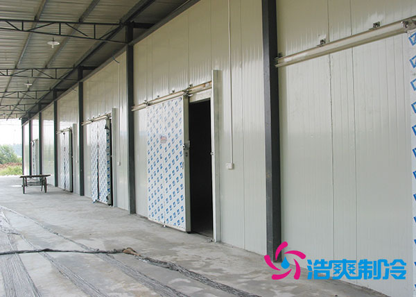 兩千噸冷庫投資成本多少錢合適？大概需要多少面積？-浩爽制冷