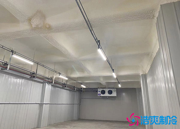 低溫冷庫(kù)建造用風(fēng)冷好還是排管好？.jpg