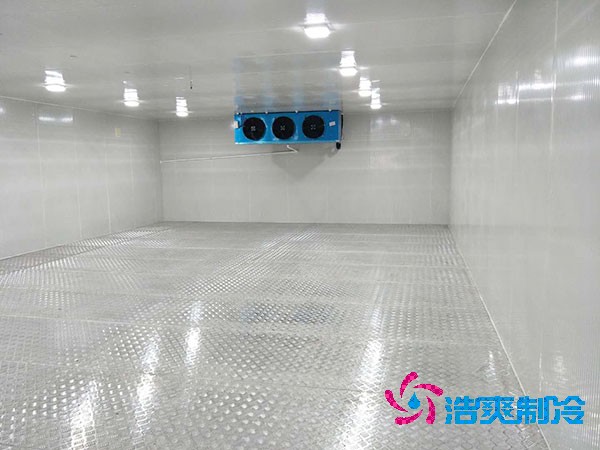 建造一個餐飲雙溫冷庫造價成本需要多少資金？