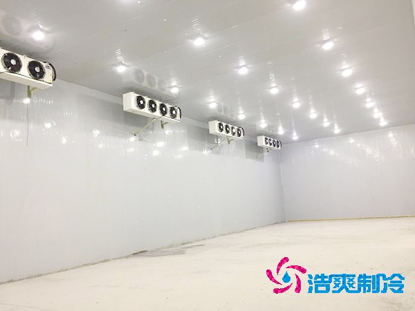 100噸蔬菜保鮮冷庫造價(jià)