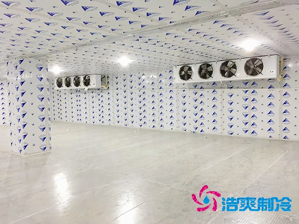 冷凍庫建設(shè)方案報價