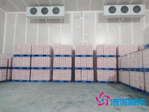 上海建設(shè)50噸果蔬氣調(diào)保鮮冷庫造價解析