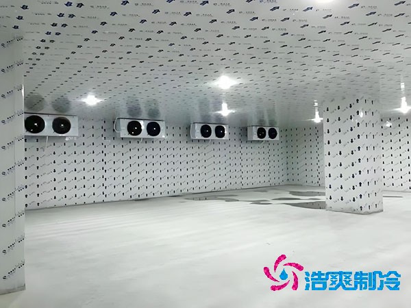 建一個生姜冷庫造價造價大概多少錢？-浩爽制冷