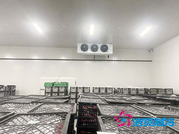 想知道保鮮冷庫設計安裝要花多少錢？-浩爽制冷