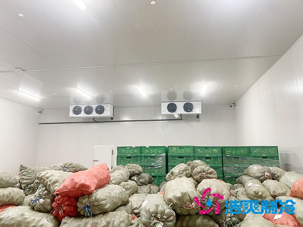 如何為時令蔬菜建造一個合適的冷庫？造價成本多少錢？-浩爽制冷