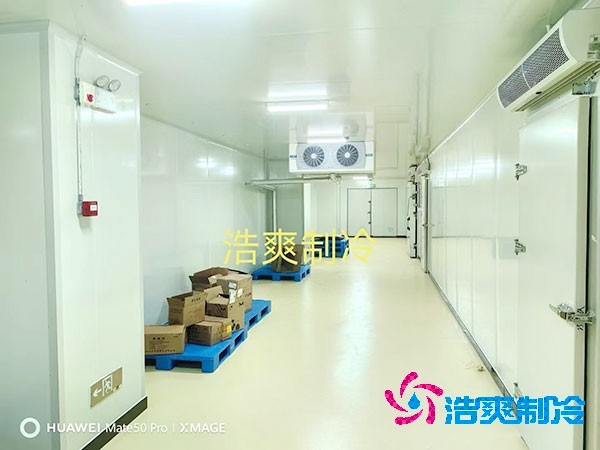 荔枝冷庫(kù)安裝價(jià)格多少錢(qián)一平方米？荔枝冷庫(kù)可以放多久-浩爽制冷